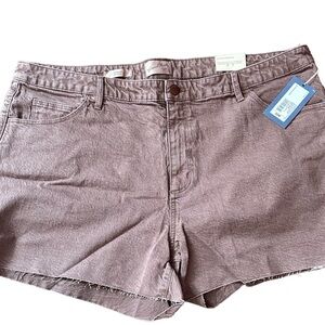 Universal Threads 22W Shorts
